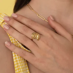 Femme Luzaka Bagues<Bague Galapagos acier doré or