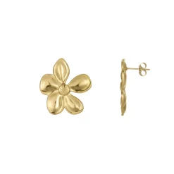 Femme Luzaka Boucles<Boucles Florine acier doré or