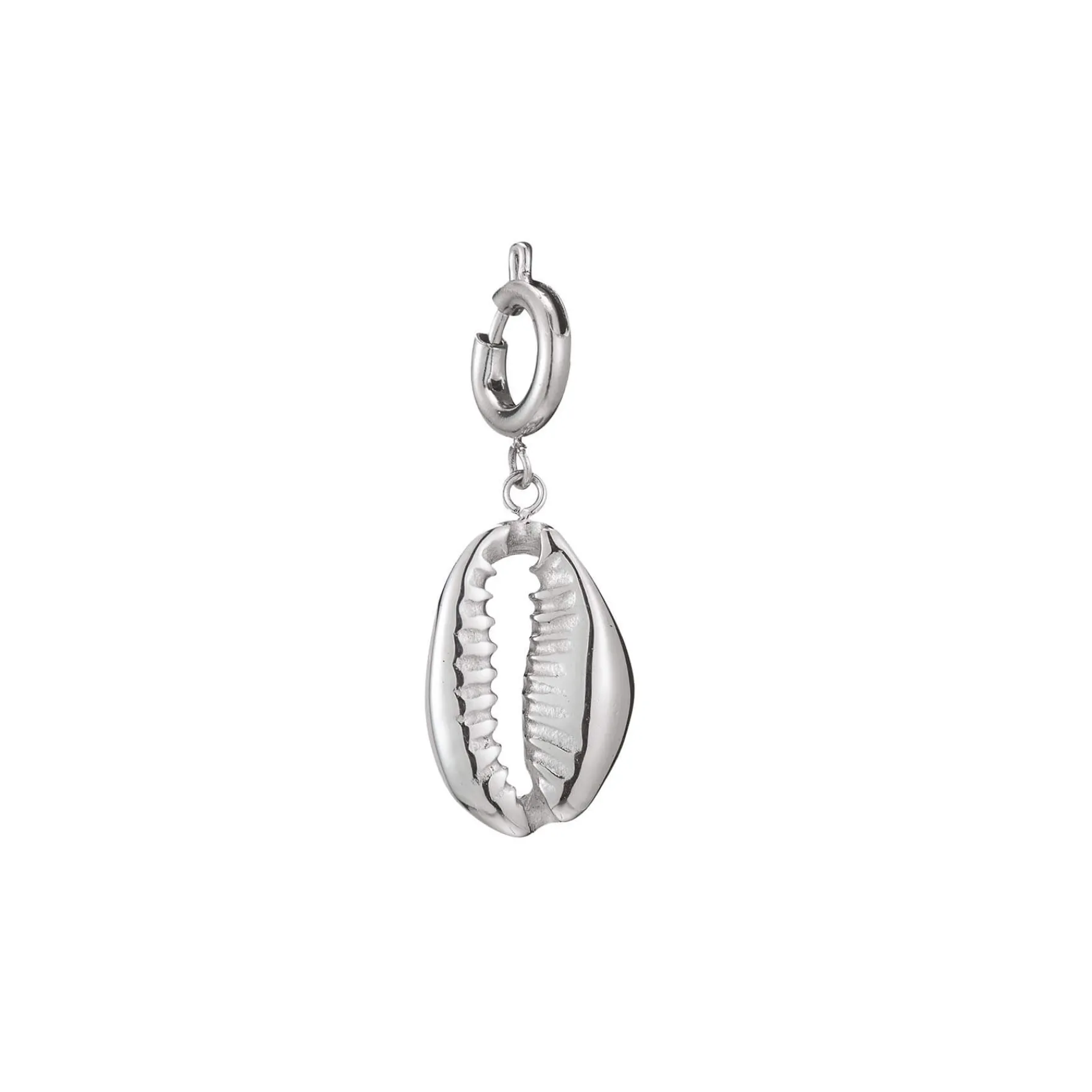 Luzaka Luzacharms<Charm acier Cauri coquillage