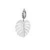Luzaka Luzacharms<Charm acier Monstera