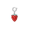 Luzaka Luzacharms<Charm Fraise acier argenté