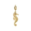 Luzaka Luzacharms<Charm hypocampe acier doré or
