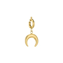 Luzaka Luzacharms<Charm Lune acier doré or