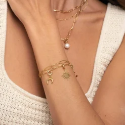 Luzaka Luzacharms<Charm Lune acier doré or