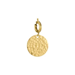 Luzaka Luzacharms<Charm Médaille acier doré or