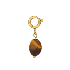 Luzaka Luzacharms<Charm Oeil de tigre doré or
