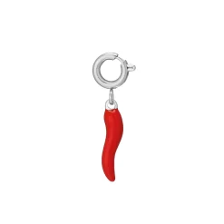 Luzaka Luzacharms<Charm piment acier argenté