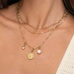 Luzaka Luzacharms<Charm Rose Des Vents acier doré or