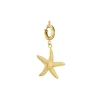 Luzaka Luzacharms<Charm étoile de mer acier doré or