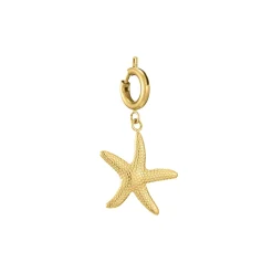 Luzaka Luzacharms<Charm étoile de mer acier doré or