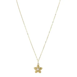 Femme Luzaka Colliers<Collier Javie acier doré or
